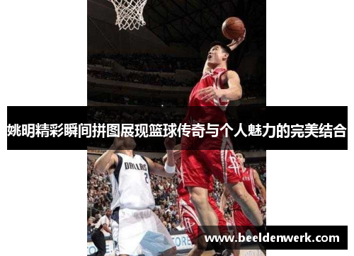 姚明精彩瞬间拼图展现篮球传奇与个人魅力的完美结合