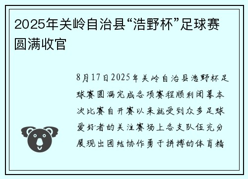 2025年关岭自治县“浩野杯”足球赛圆满收官